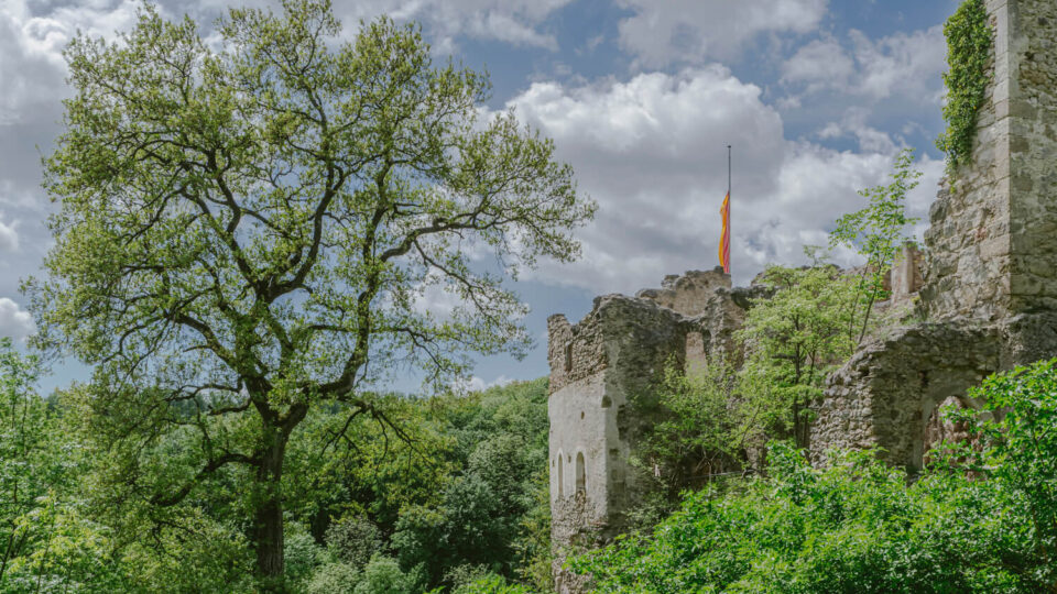 Nature Park Sparbach & Ruin Johannstein