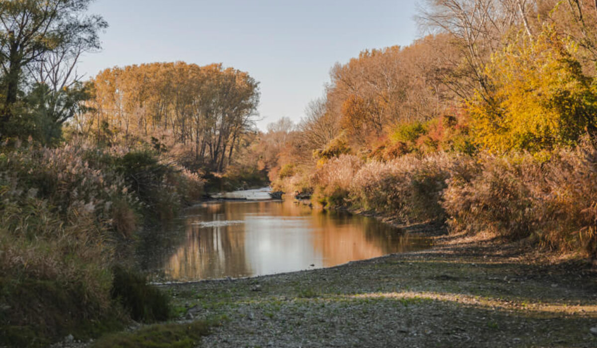 National Park Donau-Auen – Orth an der Donau