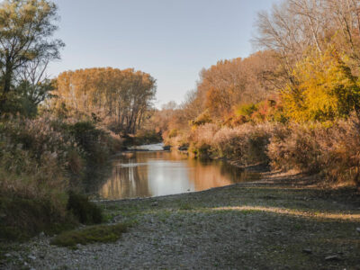 National Park Donau-Auen – Orth an der Donau
