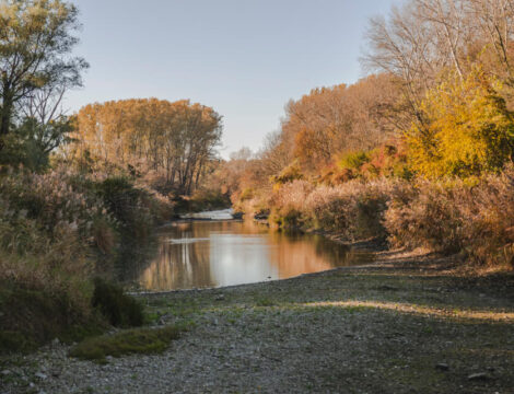 National Park Donau-Auen – Orth an der Donau