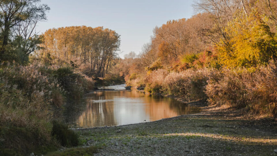 National Park Donau-Auen – Orth an der Donau