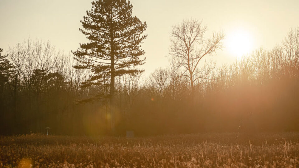 National Park Donau-Auen: Panozzalacke