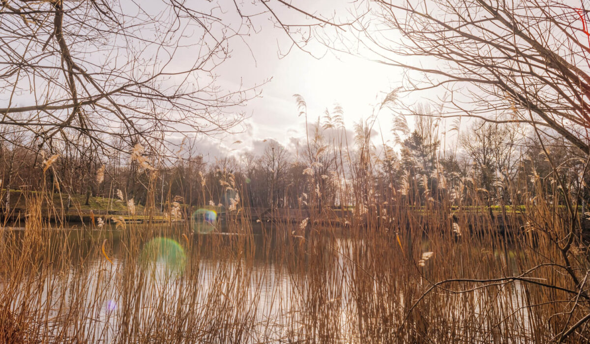 Forêt domaniale de Meudon – GR2 / GR22