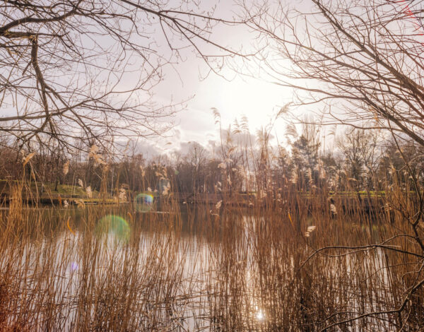 Forêt domaniale de Meudon – GR2 / GR22