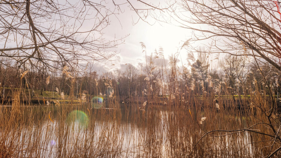 Forêt domaniale de Meudon – GR2 / GR22