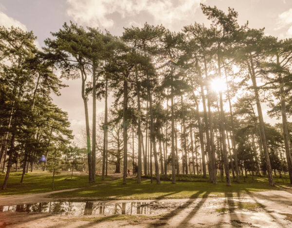 Paris GR1 – Part 1