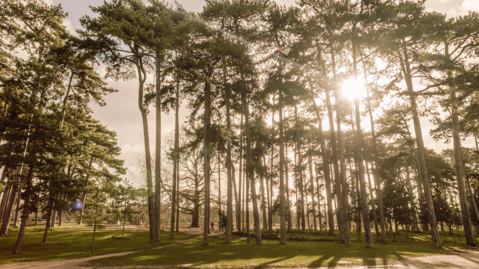 Paris GR1 – Part 1