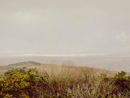 Nature Park Föhrenberge: Hinterer Föhrenberg 582m