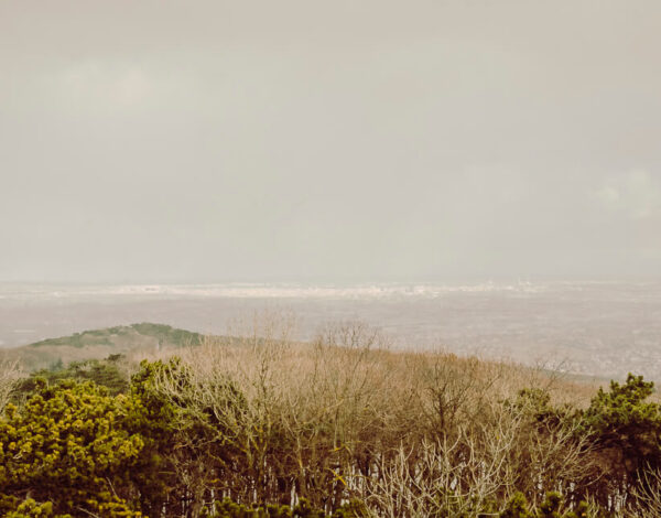 Nature Park Föhrenberge: Hinterer Föhrenberg 582m