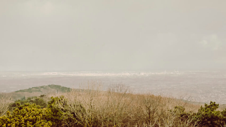 Nature Park Föhrenberge: Hinterer Föhrenberg 582m