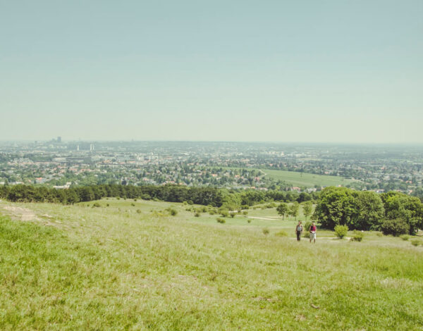 Nature Park Föhrenberge: Perchtoldsdorfer Heide