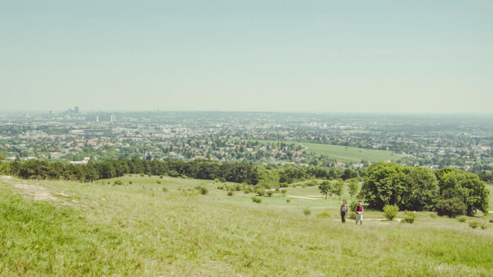 Nature Park Föhrenberge: Perchtoldsdorfer Heide