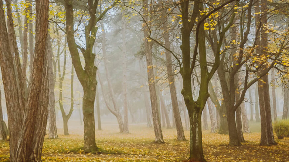 Nature Park Föhrenberge: Perchtoldsdorf – Heiligenkreuz