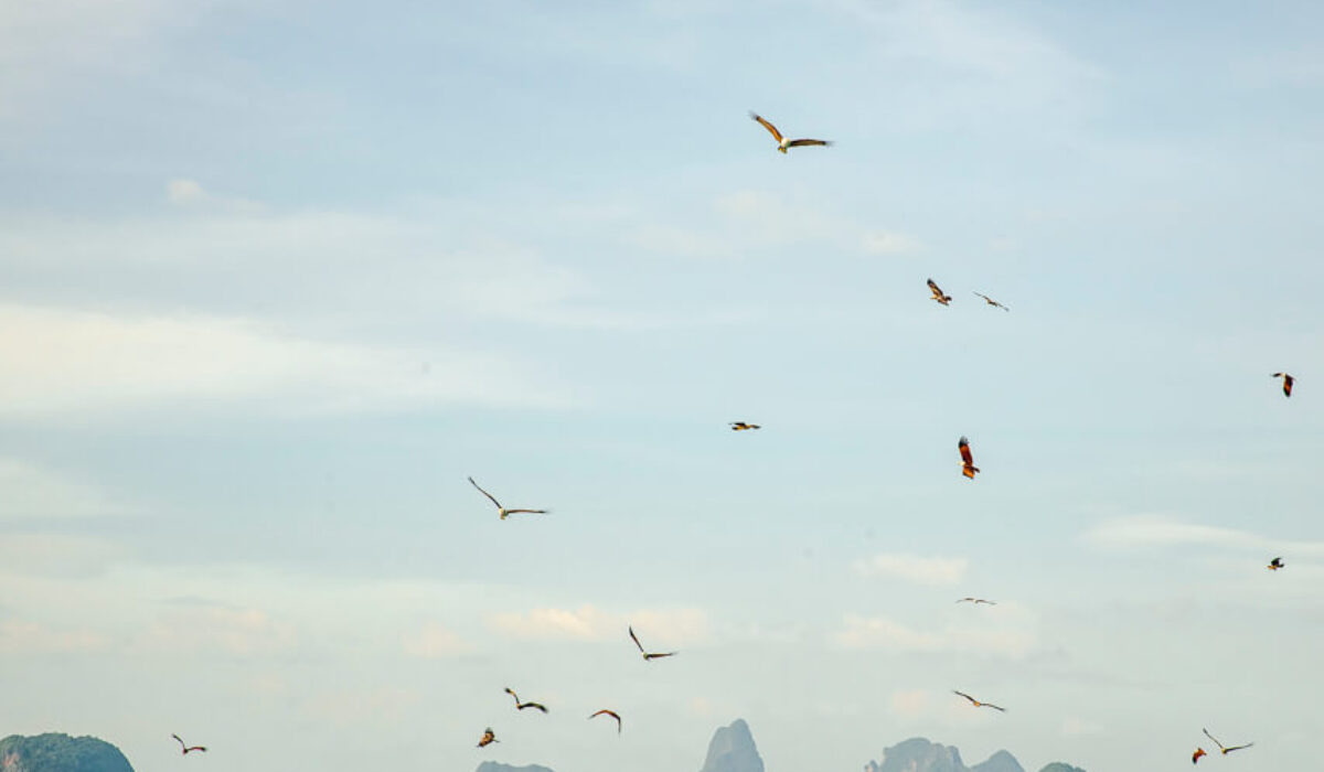 Khao Phing Kan