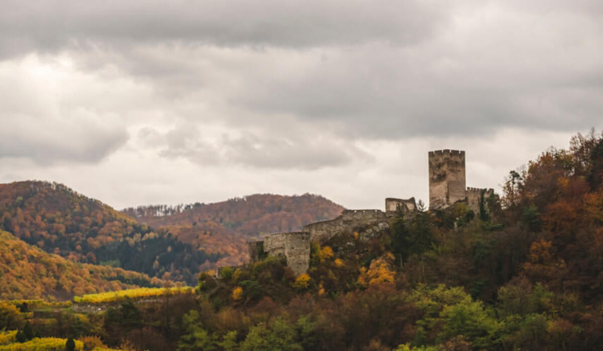 Nature Park Jauerling-Wachau: Spitz & Ruine Hinterhaus