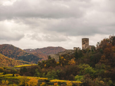 Nature Park Jauerling-Wachau: Spitz & Ruine Hinterhaus