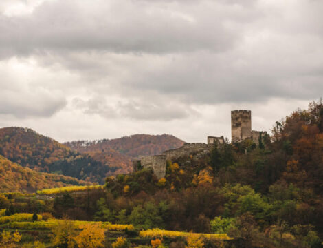 Nature Park Jauerling-Wachau: Spitz & Ruine Hinterhaus