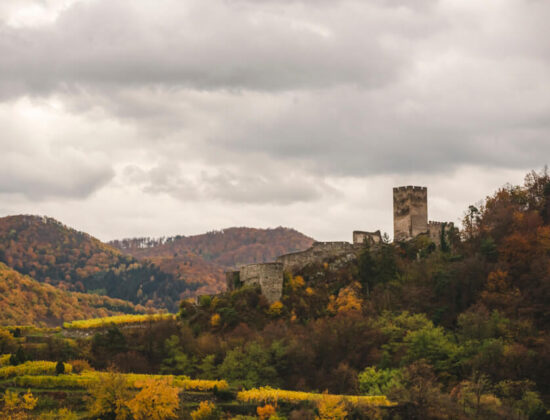 Nature Park Jauerling-Wachau: Spitz & Ruine Hinterhaus