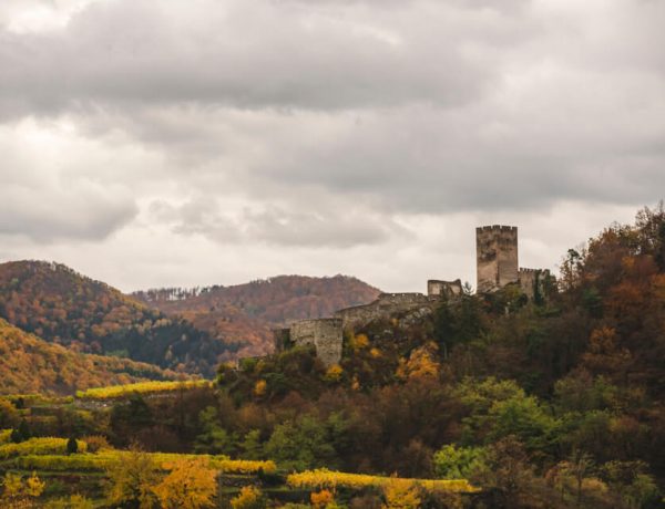 Nature Park Jauerling-Wachau: Spitz & Ruine Hinterhaus