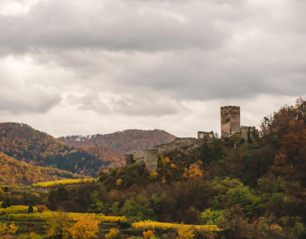 Nature Park Jauerling-Wachau: Spitz & Ruine Hinterhaus
