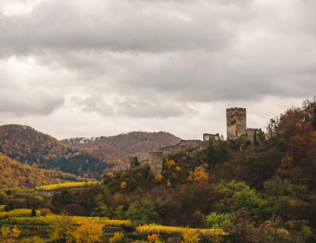 Nature Park Jauerling-Wachau: Spitz & Ruine Hinterhaus
