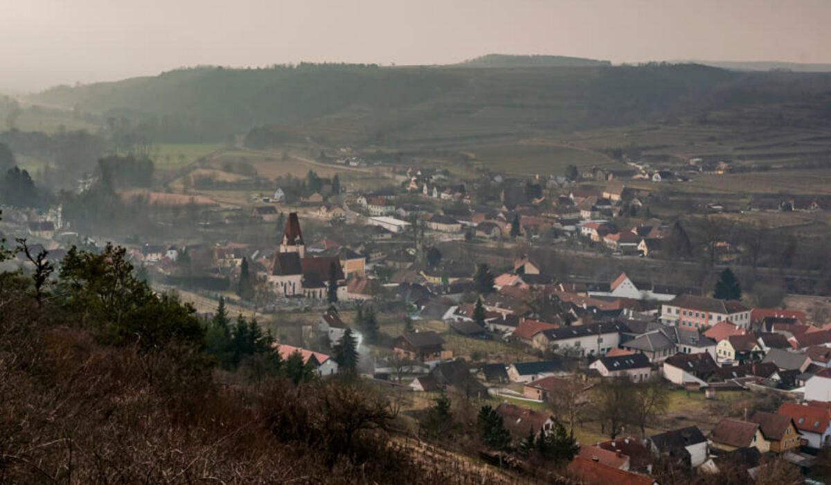 Nature Park Kamptal-Schönberg: Ruine Schonenburg