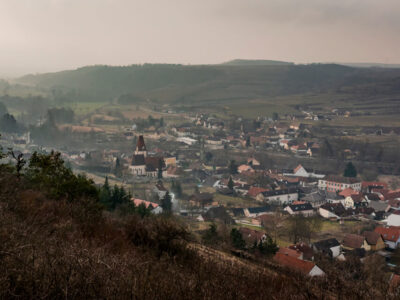 Nature Park Kamptal-Schönberg: Ruine Schonenburg