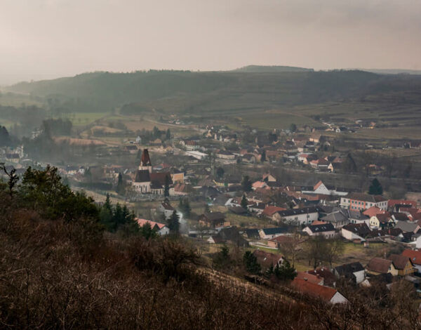 Nature Park Kamptal-Schönberg: Ruine Schonenburg