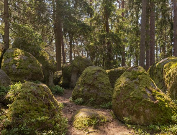 Nature Park Blockheide Eibenstein