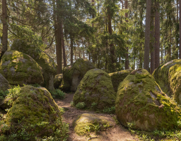 Nature Park Blockheide Eibenstein
