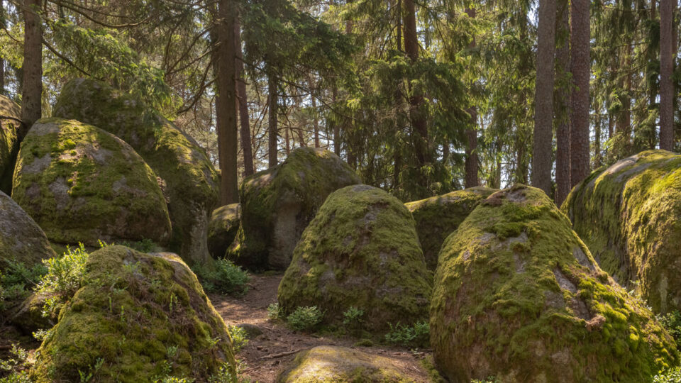 Nature Park Blockheide Eibenstein