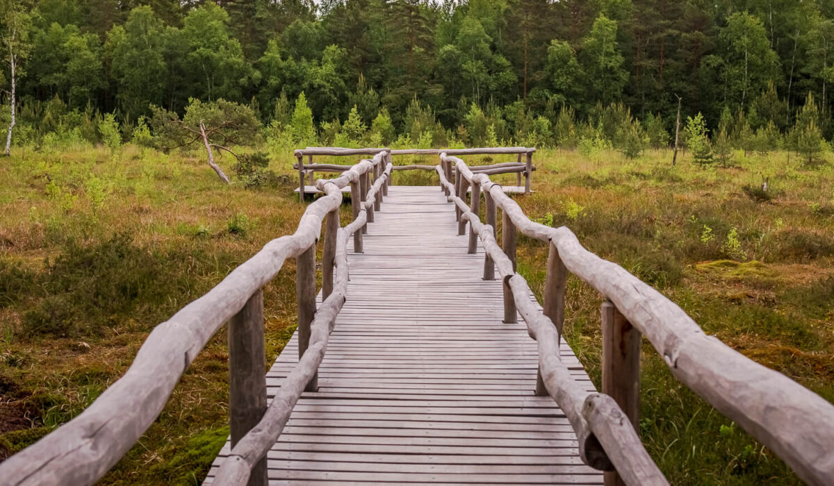 Nature Park Heidenreichstein Moor