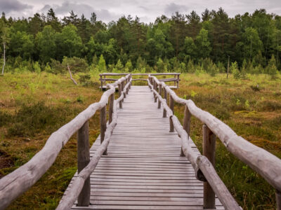 Nature Park Heidenreichstein Moor