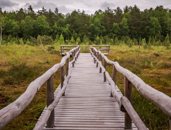 Nature Park Heidenreichstein Moor