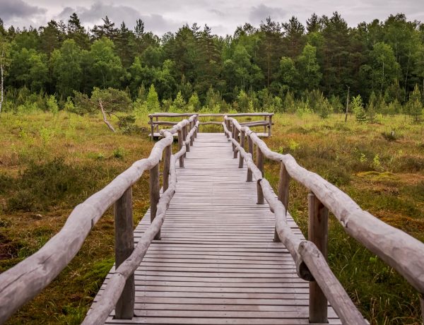 Nature Park Heidenreichstein Moor