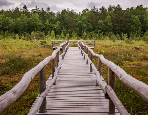 Nature Park Heidenreichstein Moor