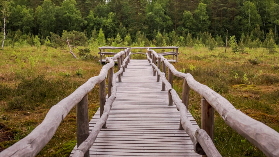 Nature Park Heidenreichstein Moor