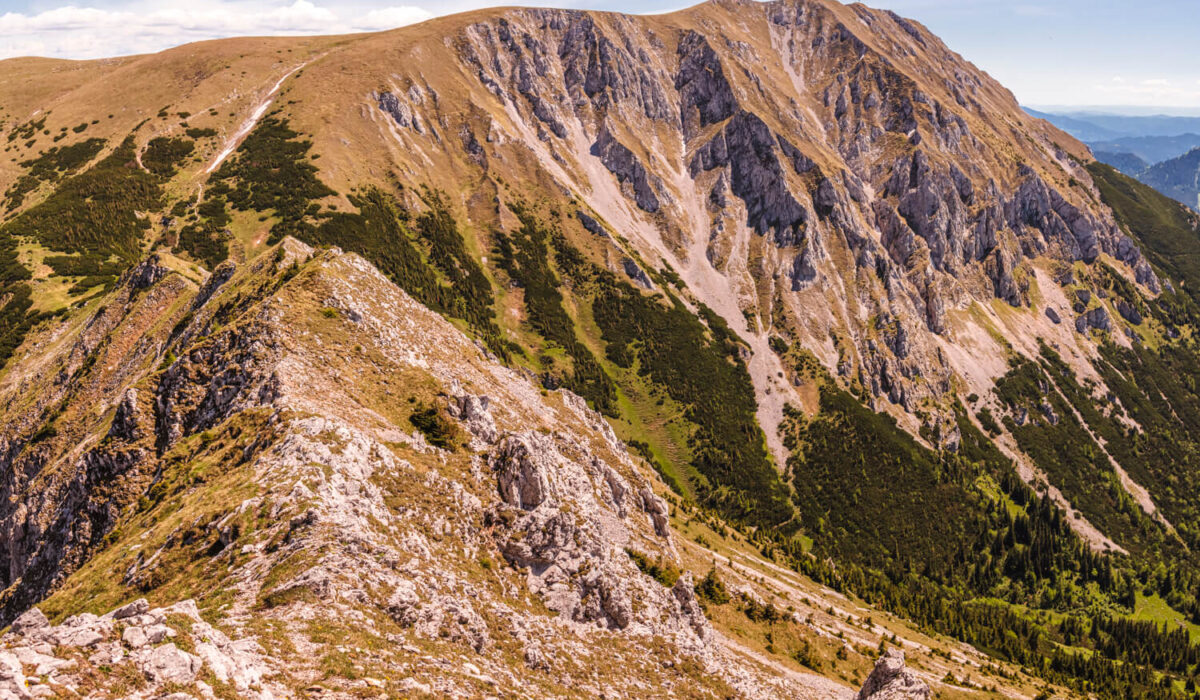 Nature Park Mürzer Oberland: Hohe Veitsch 1981m