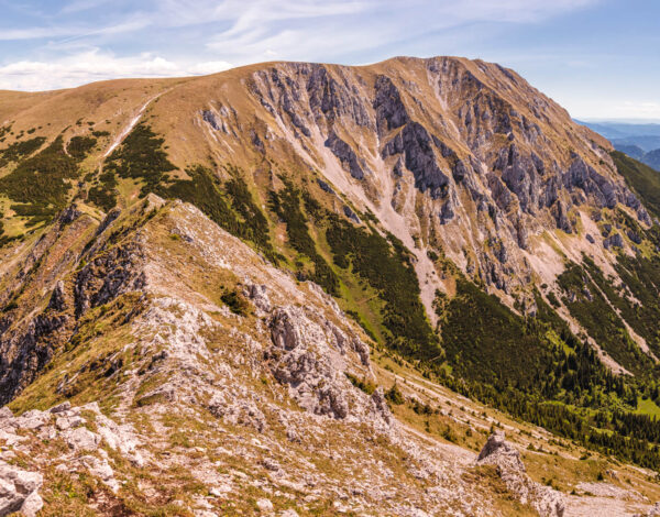 Nature Park Mürzer Oberland: Hohe Veitsch 1981m