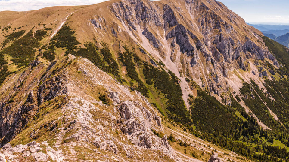 Nature Park Mürzer Oberland: Hohe Veitsch 1981m