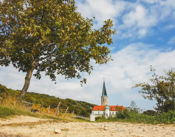 Gumpoldskirchen – Anningerschutzhaus – Eschenkogel