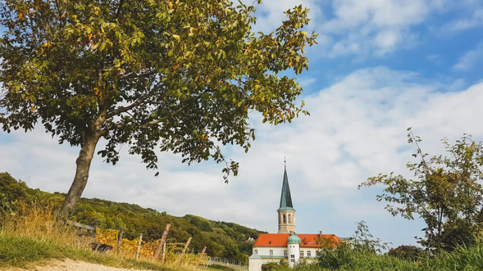 Gumpoldskirchen – Anningerschutzhaus – Eschenkogel