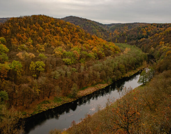 National Park Thayatal: Umlaufberg & Ruin Kaja