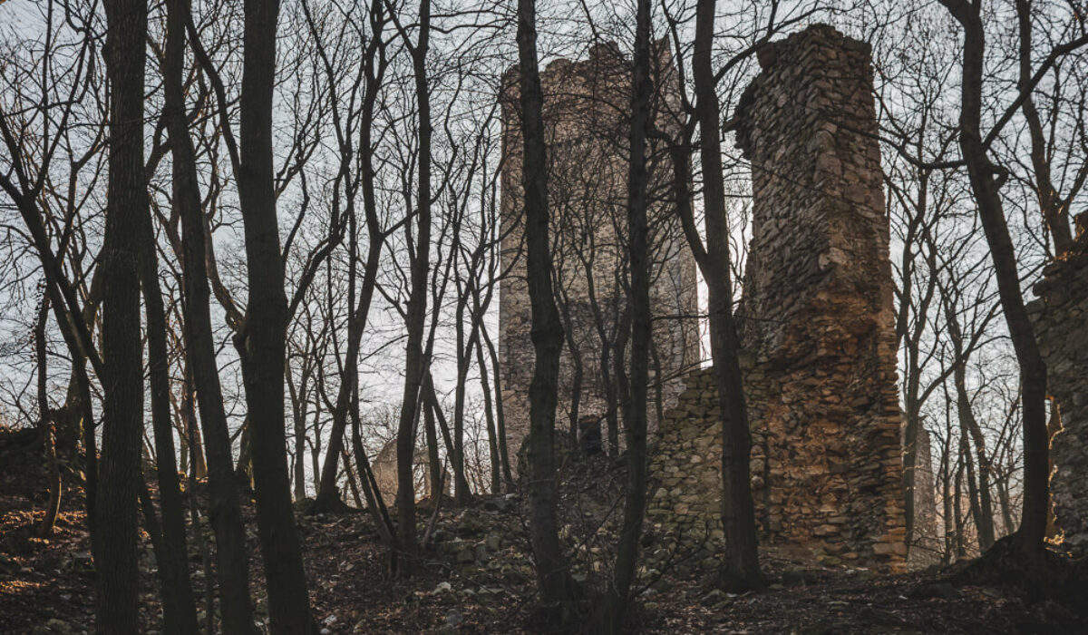 Burgruine Pottenburg & Königswarte 344m