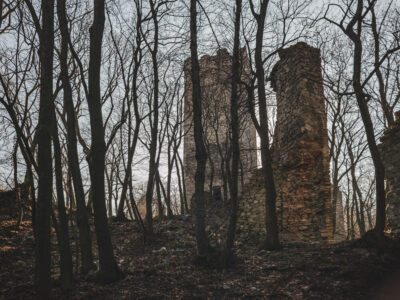 Burgruine Pottenburg & Königswarte 344m