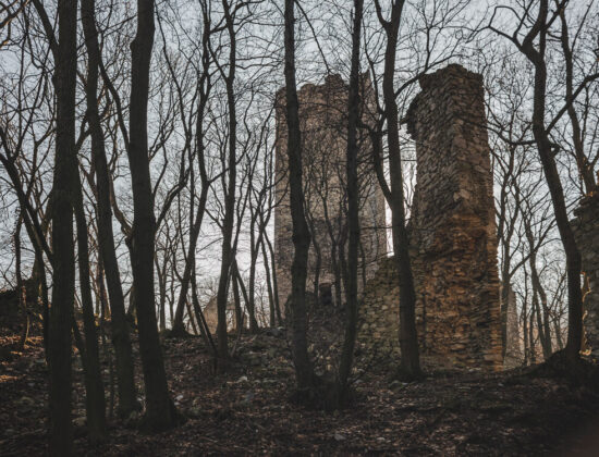 Burgruine Pottenburg & Königswarte 344m