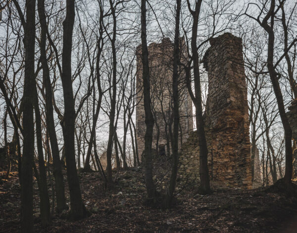 Burgruine Pottenburg & Königswarte 344m