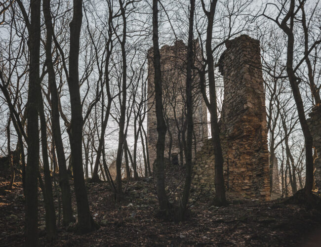 Burgruine Pottenburg & Königswarte 344m