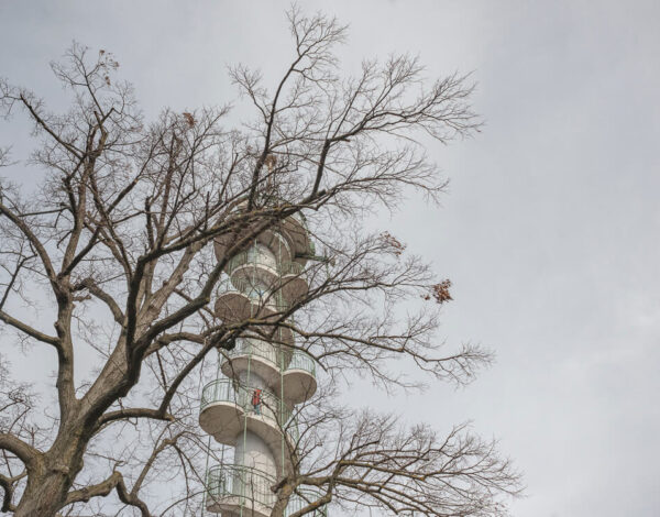 Vienna: Stadtwanderweg 4