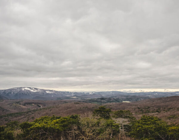 Natur Park Föhrenberge: Pfaffstättner Kogel 550m